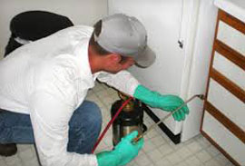 Residential Pest Control Services pest control services in pathanamthitta